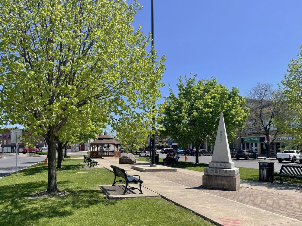 Tree service in Watertown, NY
