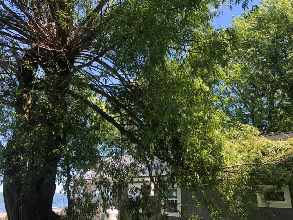 Emergency tree removal of storm-damaged tree fallen on a North Country NY home